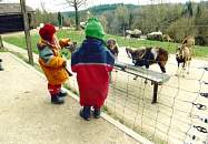 Muffelwild