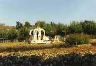 Hochzeits-Prunkkutsche