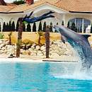 Delphin-Lagune
