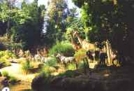 Jungle Cruise - African Veldt