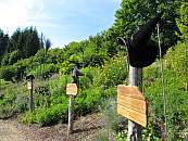 Zauberkr&auml;utergarten