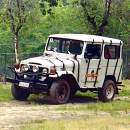 Safari-Jeep