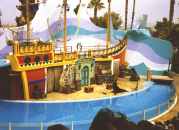 Sea Lion and Otter Show