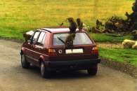 Tierland - Sektion 10